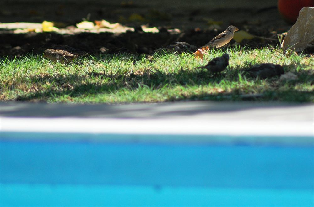 Mursel Garden Hotel Kusadasi Bagian luar foto